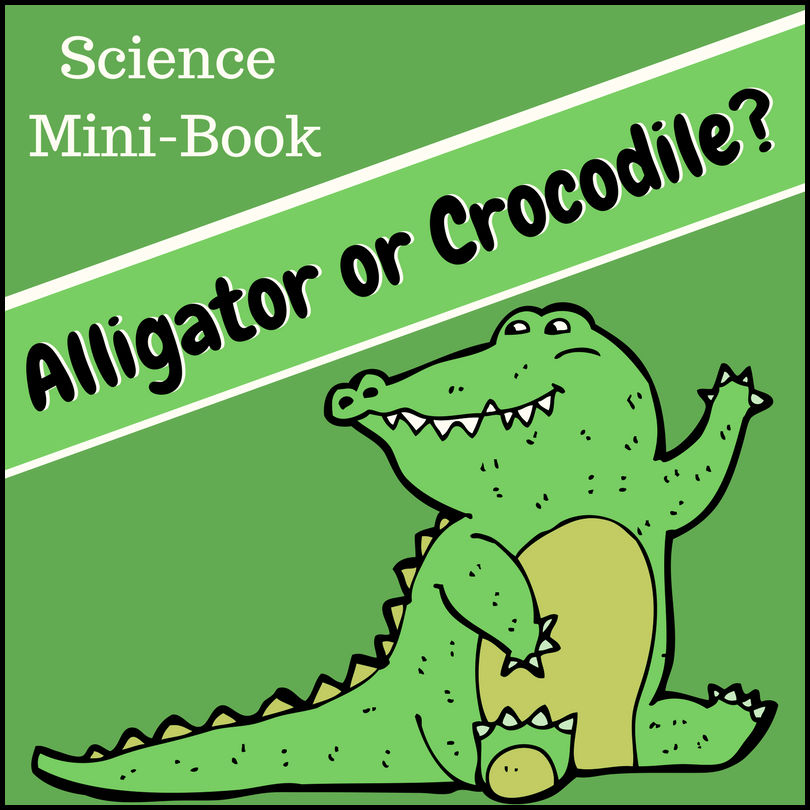 Help students learn the differences (and similarities) between an alligator and a crocodile with this resource and have a cute 18 page mini-book to create and color!