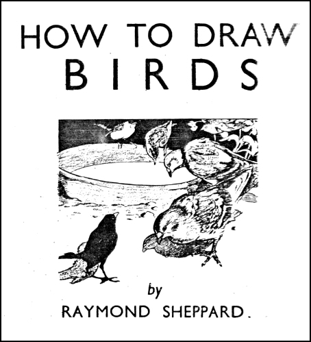 how-to-draw-birds