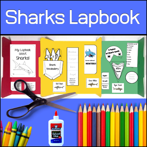 Designed to use with multiple age / grade levels, this 79 page Shark Lapbook resource will teach students about...SHARKS! By the end of project, students will not only have learned about sharks but will have a lasting project that they have created.


Included:


- Basic Lapbooking instructions

- 11 Informational pages on sharks (informational articles, diagrams, species specific details and more)

- OVER 50 pages of templates and instructions on how to use the templates

- Vocabulary with definitions


This can be a self-contained resource (using no other outside research materials) or students can do further research to learn even more!