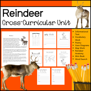 Learning about Reideer - Cross Curricular Unit
