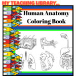 Anatomy Coloring Book for 5th - 12th Grades