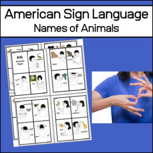 ASL Flash Cards - Animal Names
