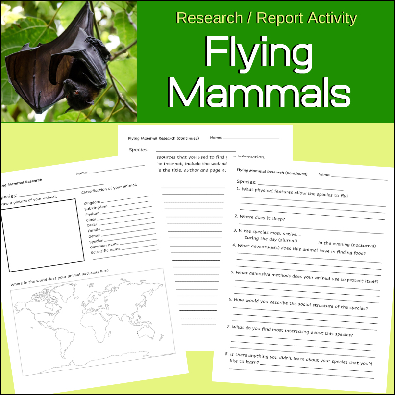 flying-mammal-research-report-activity
