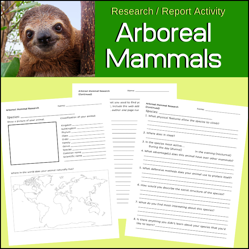 tree-dwelling-mammals-research