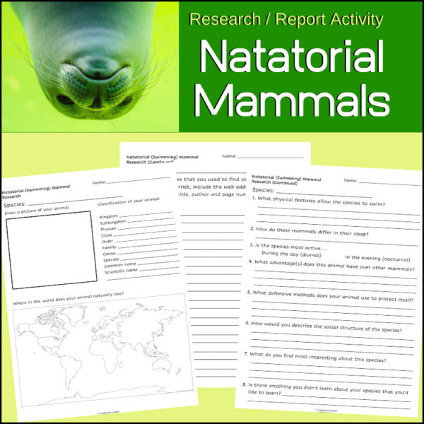 swimming-mammals-research-activity