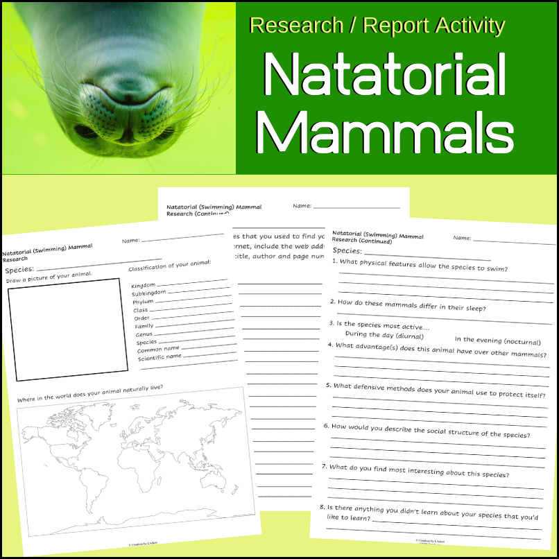 swimming-mammals-research-activity