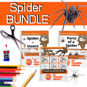 Spider Bundle | Thematic Resources