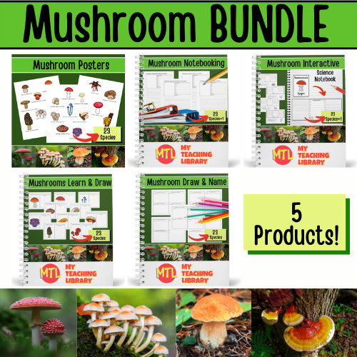 Mushroom teaching materials
