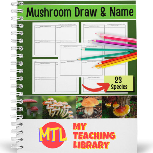 Mushroom - Fungi - Worksheets