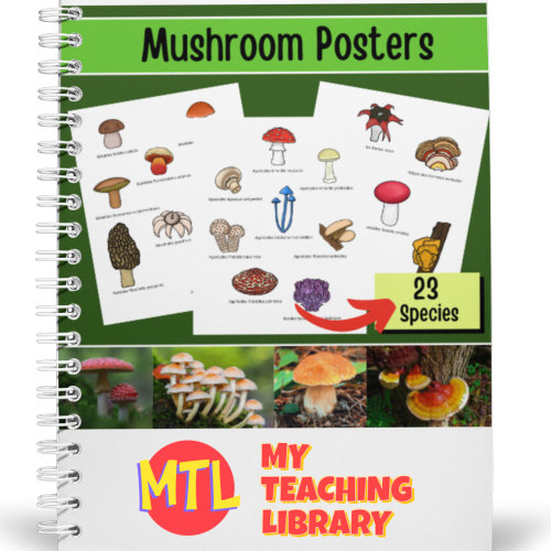 Fungi - Mushrooms Classroom Posters