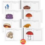 Learn types of mushrooms