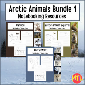 Arctic Animal Notebooking Bundle