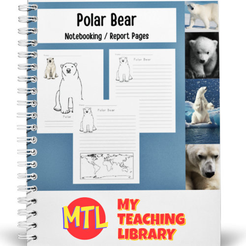 Polar Bear Notebooking