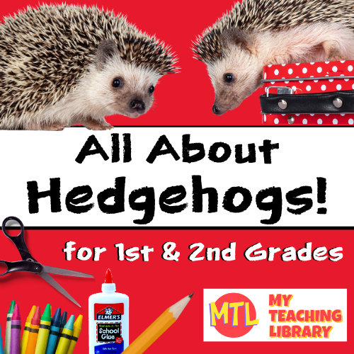 all about hedgehogs