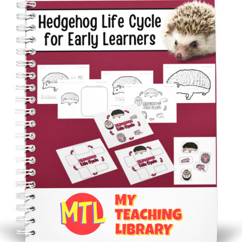 Hedgehog Life Cycle