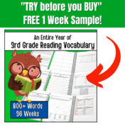 Try before you Buy – 3rd Grade Reading Vocabulary