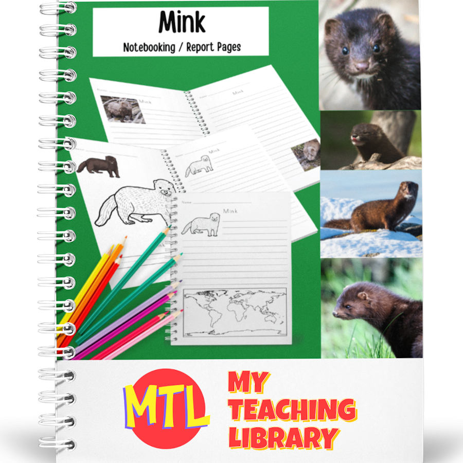 z 389 Mink Notebooking cover