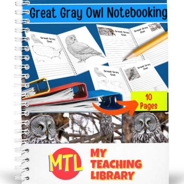 z 367 Great Gray Owl Notebooking cover