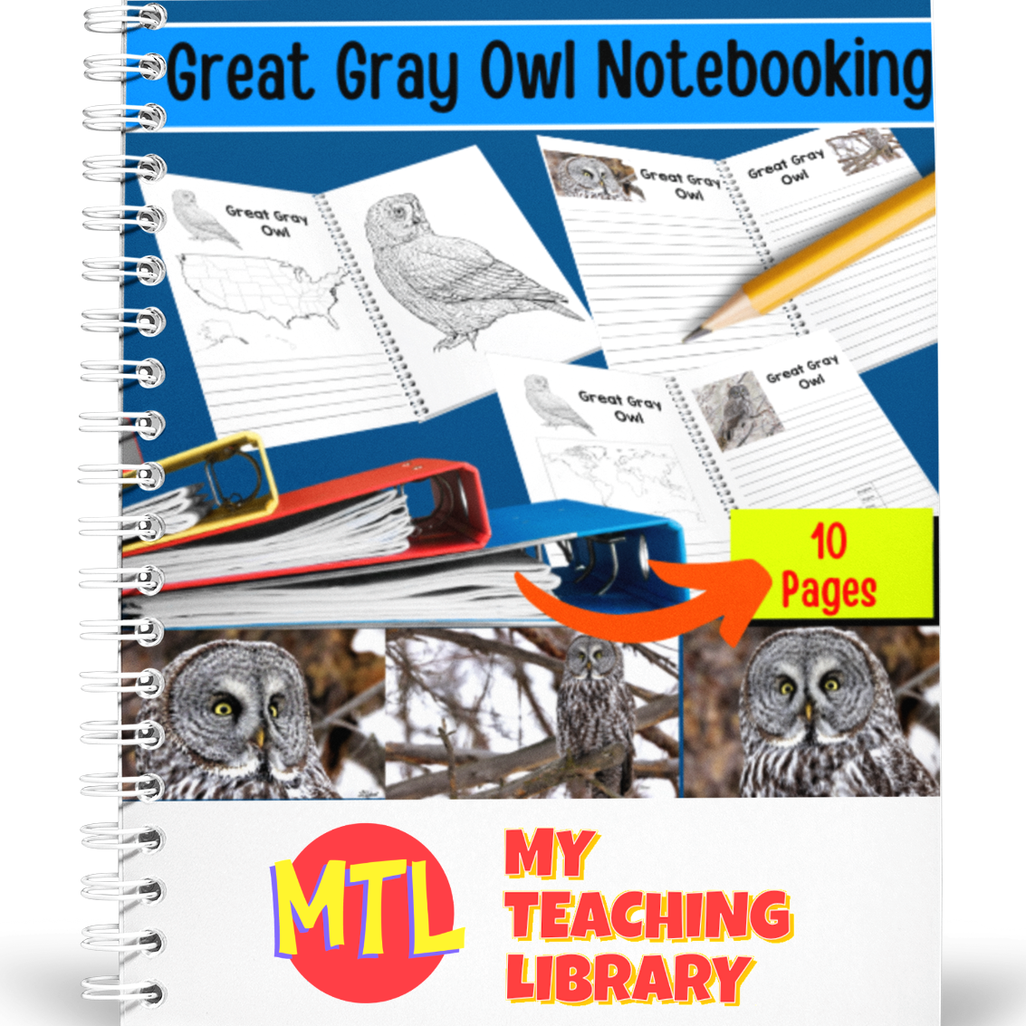 z 367 Great Gray Owl Notebooking cover