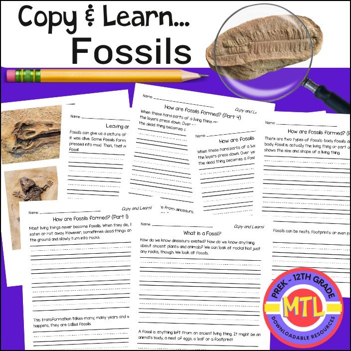 Z 343 Copy and Learn Fossils