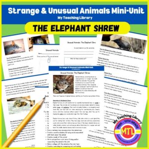 The Elephant Shrew Mini-Unit