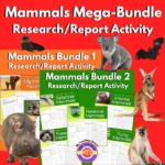 Homeschooling Curriculum - My Teaching Library