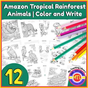 Amazon Tropical Rainforest Animals - Realistic Images | Color and Write